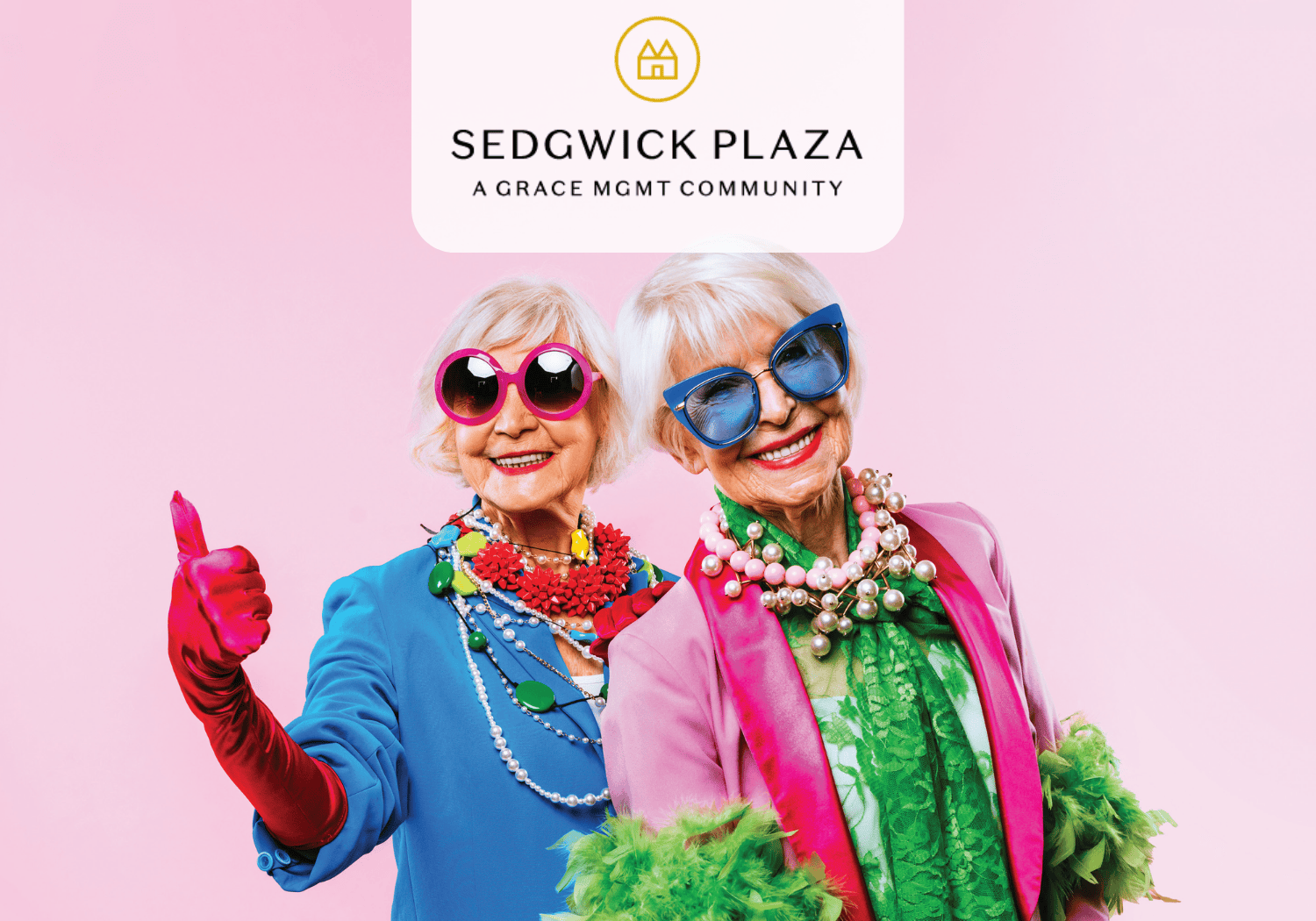 Sedgwick Plaza - Gorgeous Grandma - Sedgwick Plaza