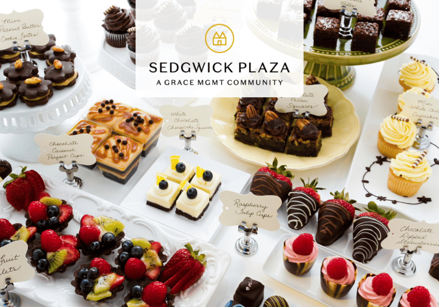Sedgwick Plaza - National Dessert Day - Sedgwick Plaza