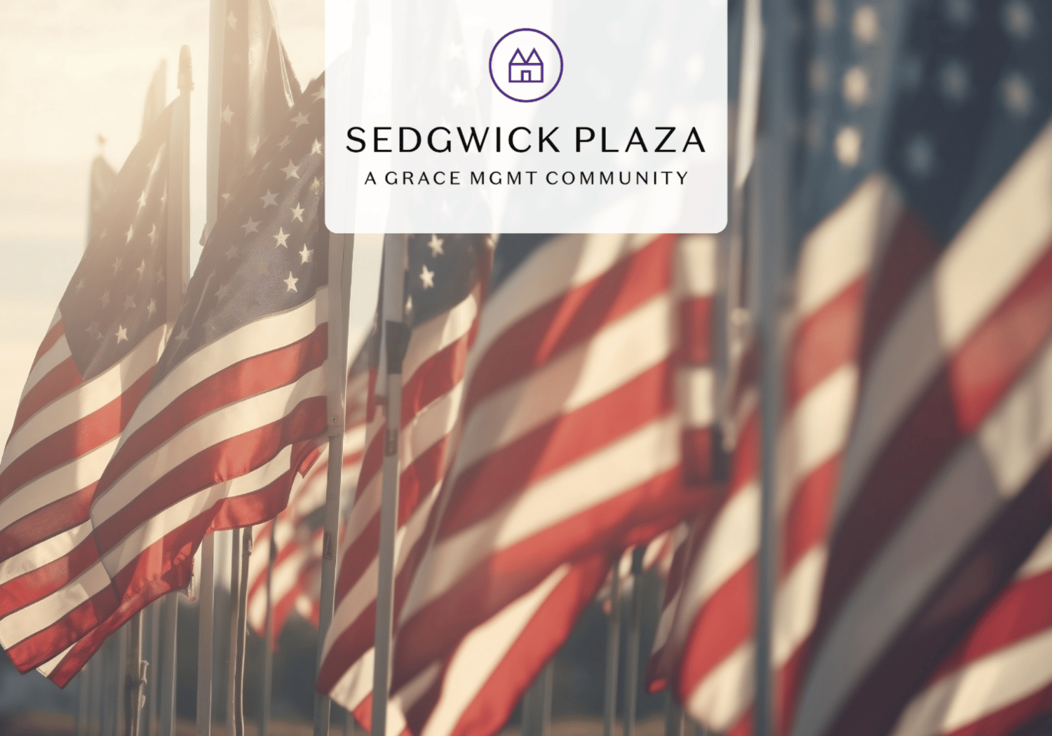 Row of American flags on flagpoles with Sedgwick Plaza branding overlay at the top center.